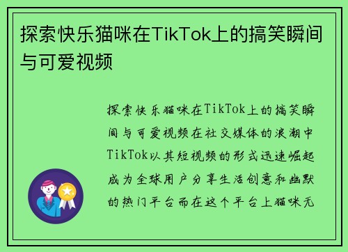 探索快乐猫咪在TikTok上的搞笑瞬间与可爱视频